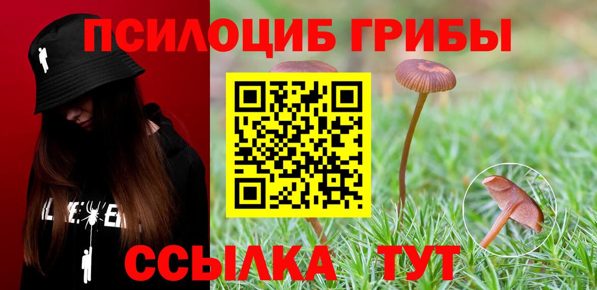 Псилоцибиновые грибы мухоморы  Вход с VPN  Торжок 